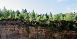 Quarry face in summer